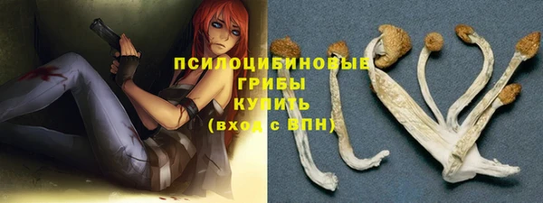 СК Алексеевка