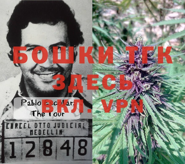 героин Алзамай