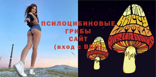 СК Алексеевка